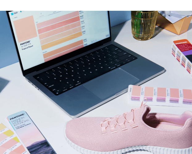 Pantone TPG Color Guide FHIP110C BD