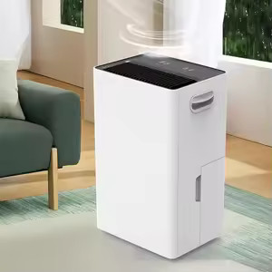 Richard RJH-20L Dehumidifier Machine in Bangladesh